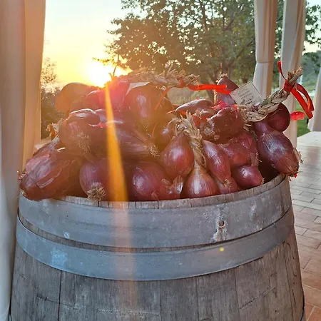 Il Cerro Zagarese Lejlighed Fuscaldo