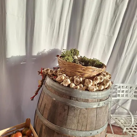 Il Cerro Zagarese * Fuscaldo