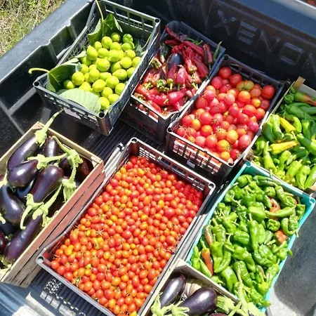 Lejlighed Il Cerro Zagarese *