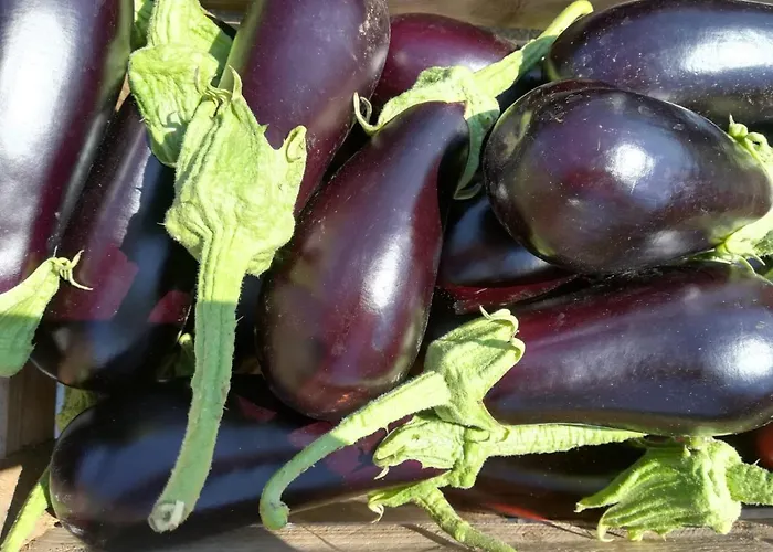 Il Cerro Zagarese דירה