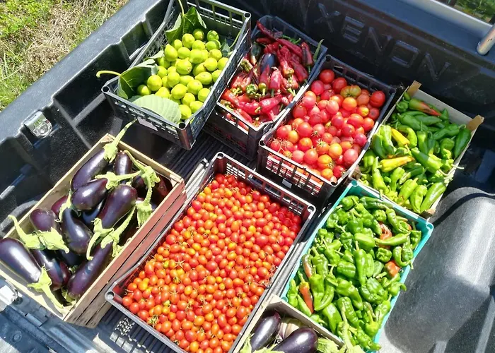 דירה Il Cerro Zagarese *